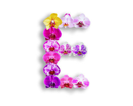 e shape made of various kinds of orchid flowersの写真素材