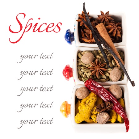 Colorful spices on a white background with sample textの写真素材