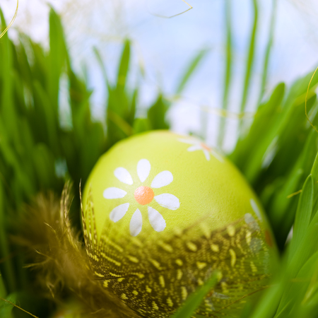 Easter egg with a feather in the grass