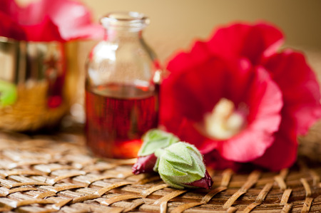 Oil for aromatherapy and red flowersの写真素材