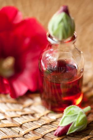 Aromatherapy set. Essential oil and red flowers.の写真素材
