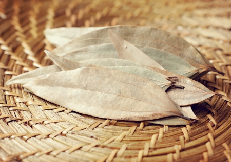 bay leafの写真素材