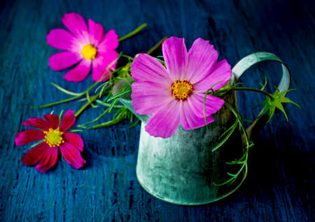 Flowers in a jar in a vintage style on a blue backgroundの写真素材