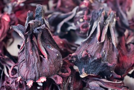 hibiscus teaの写真素材
