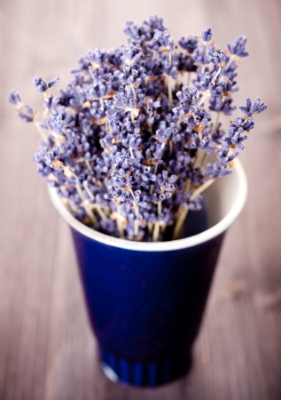 Bunch of lavender flowers の写真素材