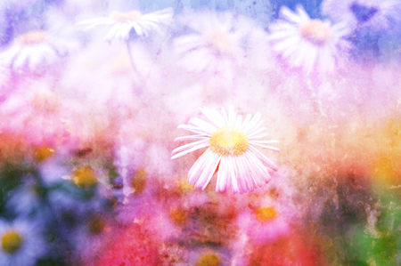 beautiful flowers made with color filtersの写真素材