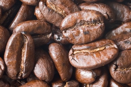 coffee beans の写真素材