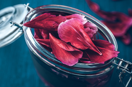 Petals flowersの写真素材