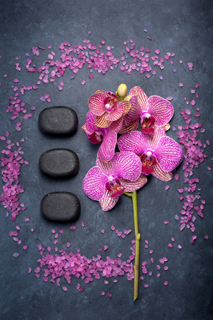 Spa. Orchid, spa stones and sea salt on a marble background. top viewの写真素材