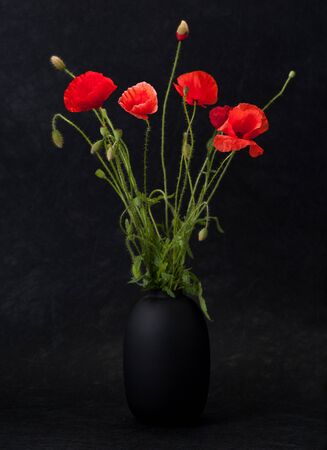 Flowers red  poppies in a vase on a black grunge backgroundの写真素材