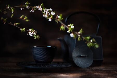 Cast-iron tea set and blooming cherry blossomsの写真素材
