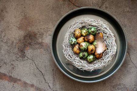 Quail eggs in a nest on a gray background. top view