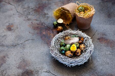 Quail Eggs in Nestの写真素材