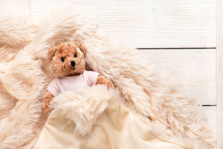 Small fur baby toy bear is covered with a warm blanket, flat lay, top view