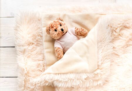 Small fur baby toy bear is covered with a warm blanket, flat lay, top view