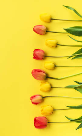 Beautiful flowers tulips on a yellow background, top view with copy space. Spring or summer floral background with copy space.の写真素材