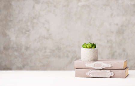 Old vintage books and flower in concrete vase on a wooden table with copy spaceの写真素材