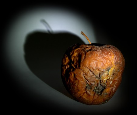 Rotten apple in dark. Play with light. の写真素材
