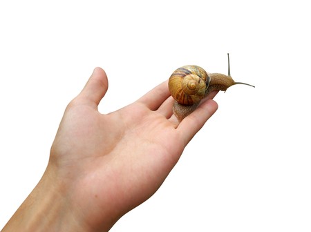 Snail on hand and deep sky. Conceptual design. の写真素材