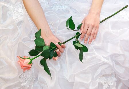 Rose in bride hands. Conceptual design.の写真素材