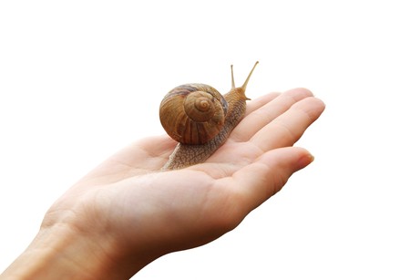 Snail on hand and sky. Concept design.の写真素材