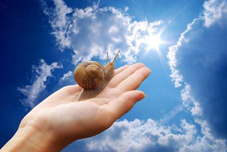 Snail on hand and deep sky. Conceptual design.の写真素材