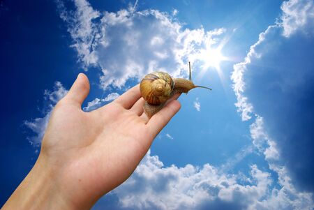 Snail on hand and deep sky. Conceptual design. の写真素材
