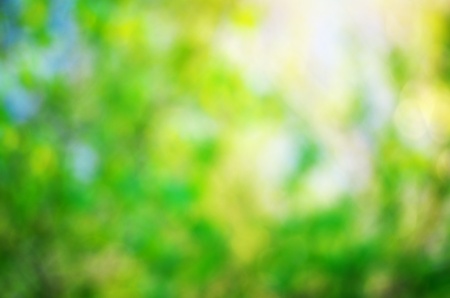 Bokeh background. Elemnt of design.の写真素材