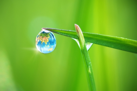 Planet Earth in dew, macro on leaf. Conceptual design. Elements of this image furnished by NASA.