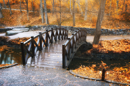 Autumn landscape  Bridge in park  Composition of nature の写真素材
