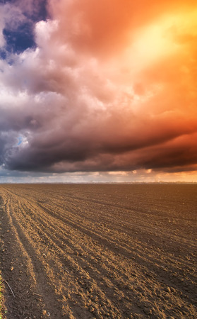 Cultivated meadow and heavy sky clouds. Rural scene.の写真素材