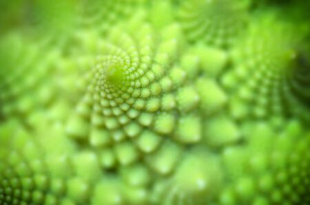 Abstract pattern of spiral. Nature macro composition. Shallow depth-of-field.の写真素材