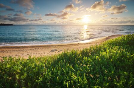 Sundown seascape composition. Sky, sea, and green grass. Relax on the sea.の写真素材
