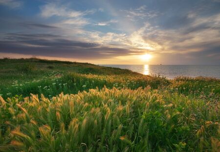 Sundown landscape composition. Sky, sea, and green grass.の写真素材