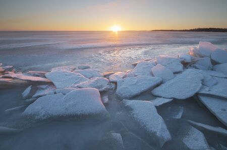 Winter landscape. Composition of nature.