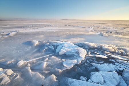 Winter landscape. Composition of nature.