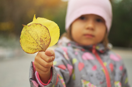 Young kid holding orange leaf in hand in autumn park. Child and autumn.の写真素材