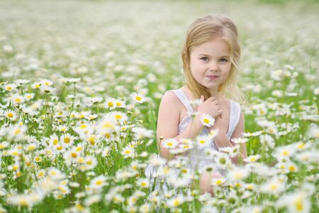 Cute little girl in big camomile meadow. Portrait composition.の写真素材
