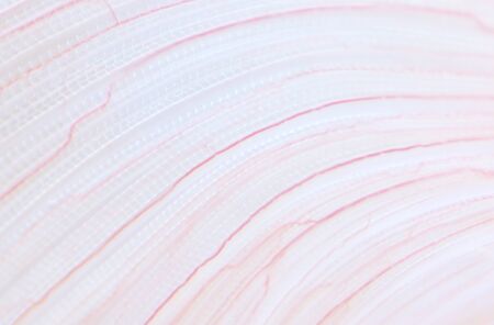 Abstract bio and macro pattern. Element of design.
