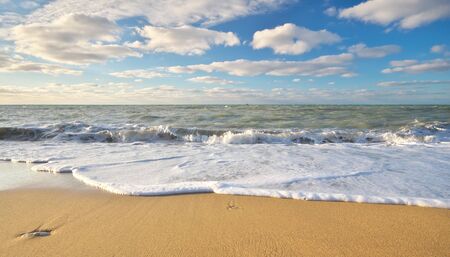 Sandy seashore at day. Nature composition.