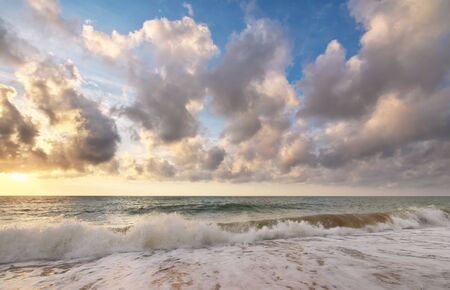 Seashore at sunset. Nature composition.