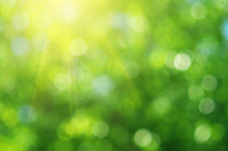 Bokeh background. Elemnt of design.の写真素材
