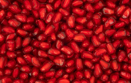Macro texture of pomegranate. Element of food design.の写真素材