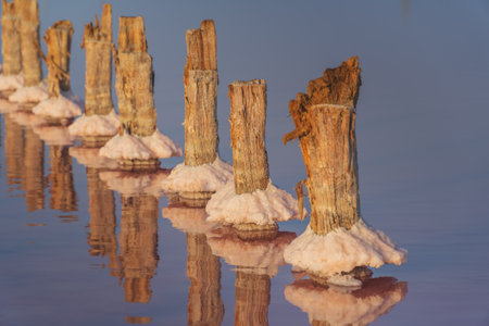 Sea salt on columns in lake. Unique nature composition.の写真素材