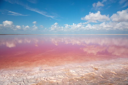 Sea salt lake at day. Unique nature composition.の写真素材
