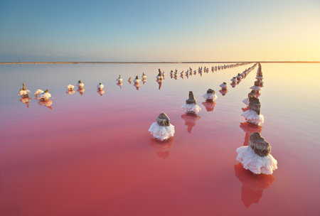 Sea salt on columns in lake. Unique nature composition.の写真素材