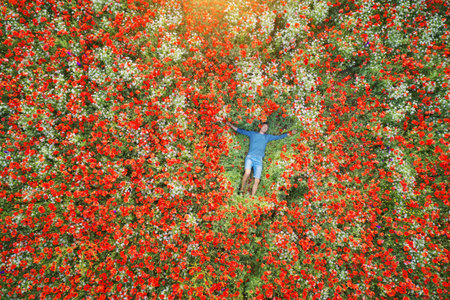 Man lies in a field of poppies. Emotional and nature scene.