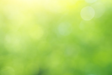 Green bokeh nature background. Elemnt of design.の写真素材