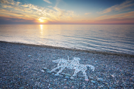 Horse rider symbol from stones on sea shore during the sunset. Nature conceptual design.の写真素材