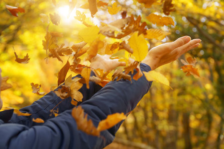 Female hands try to catch falling autumn leaves. Emotional scene.